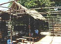 Original Mikoroshoni Primary School 1996 